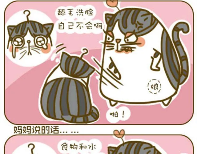 莫骗我 第6页