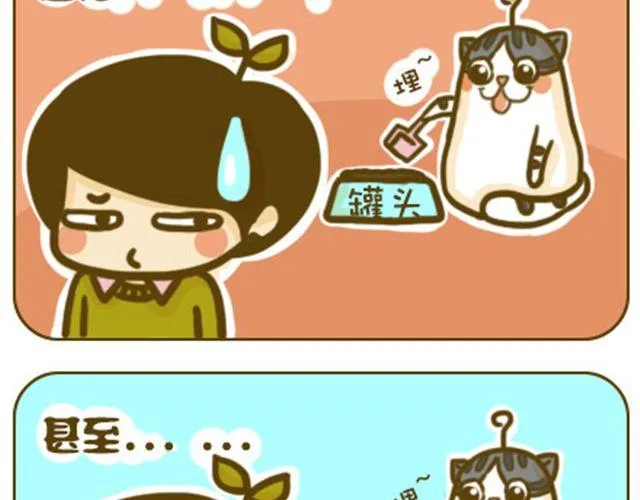 莫骗我 第11页