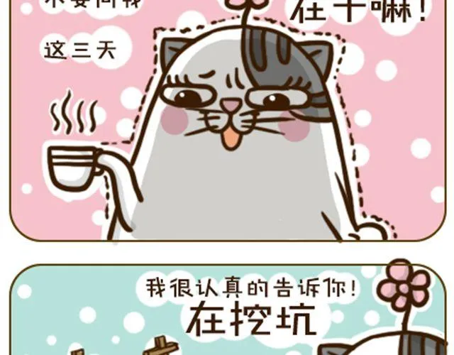 莫骗我 第15页