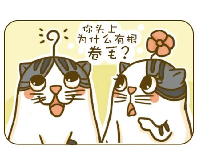 静静 第5页