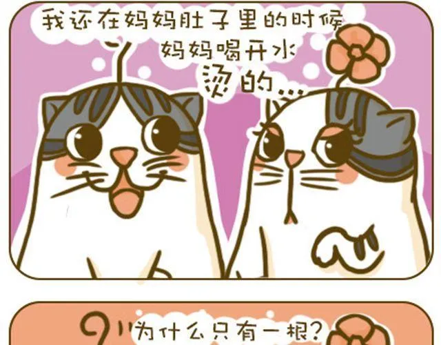 静静 第6页