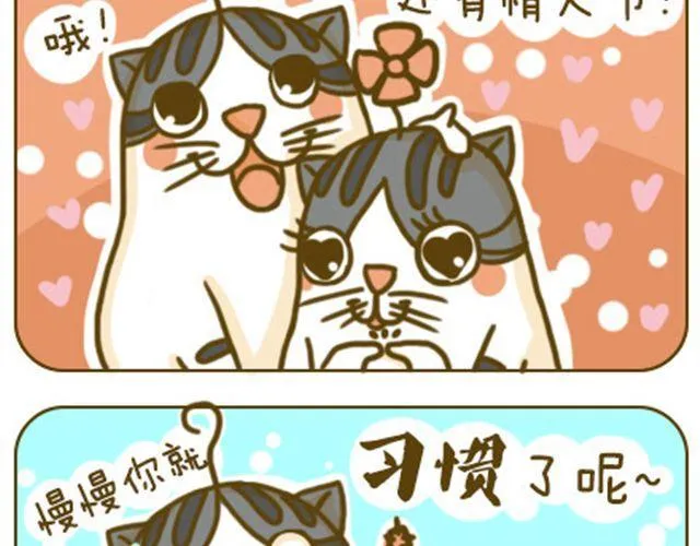 静静 第15页