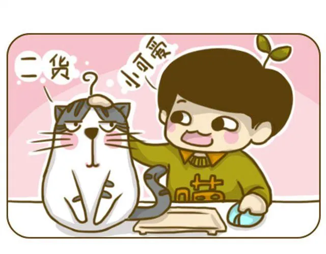 给点隐私 第1页