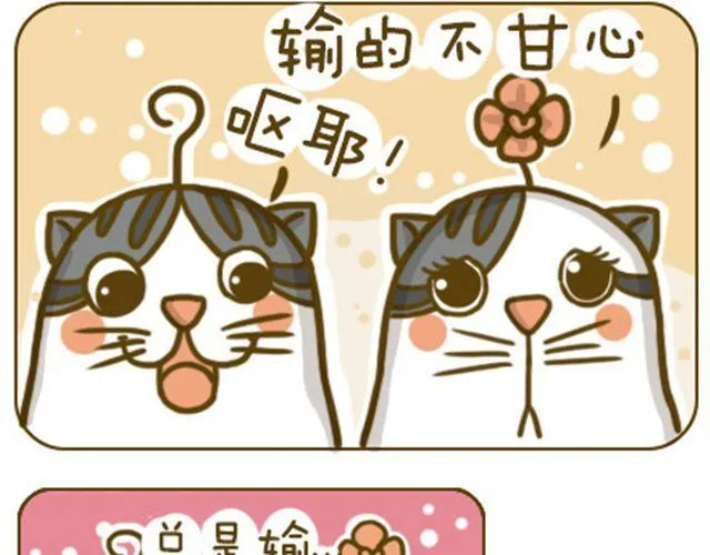 喵生大事 第2页