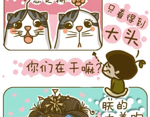 喵生大事 第3页