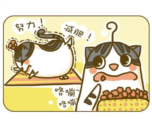 不好瘦 第1页
