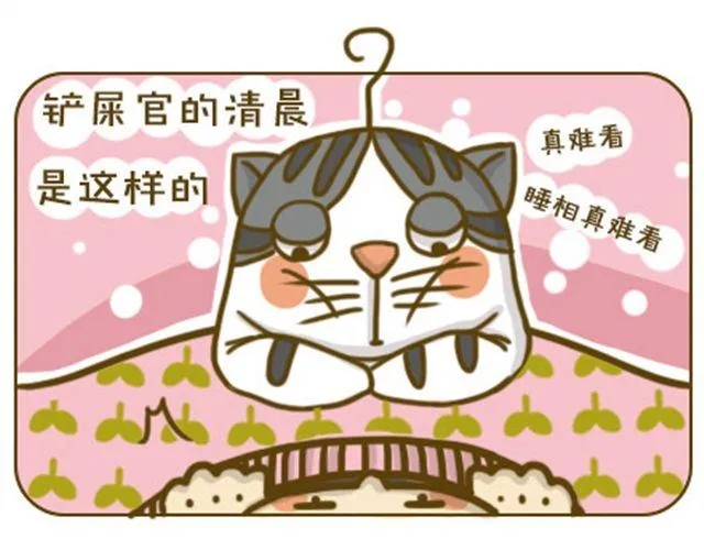 不好瘦 第5页
