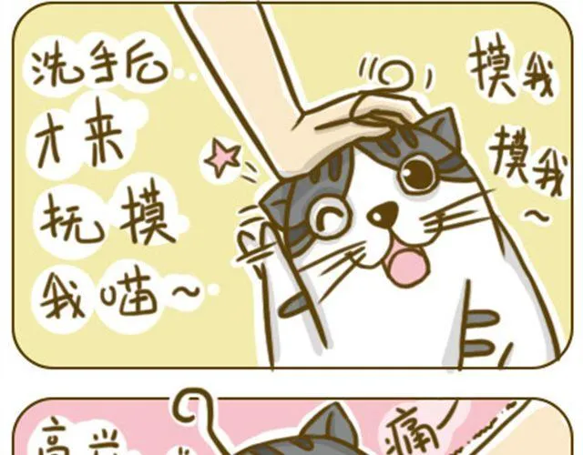别碰我的呆毛 第10页