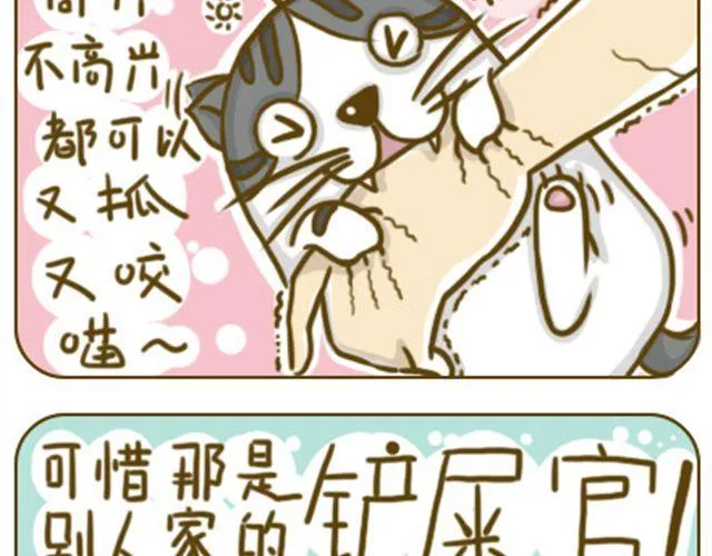 别碰我的呆毛 第11页