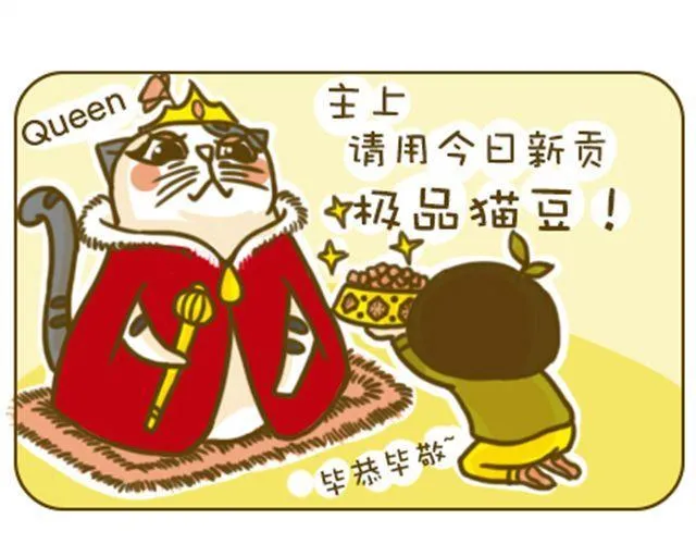 喵主子的赏赐 第9页