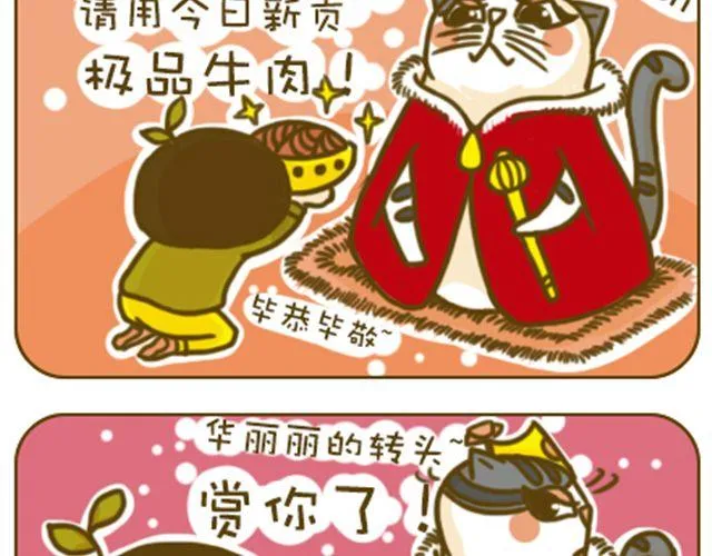 喵主子的赏赐 第11页