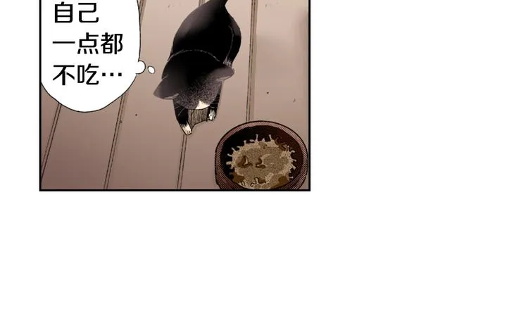 第3话 命运的邂逅？ 第12页