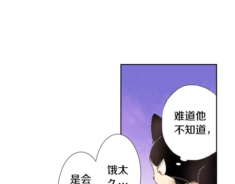 第3话 命运的邂逅？ 第13页