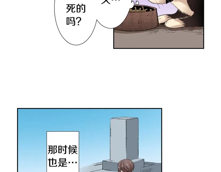 第3话 命运的邂逅？ 第14页