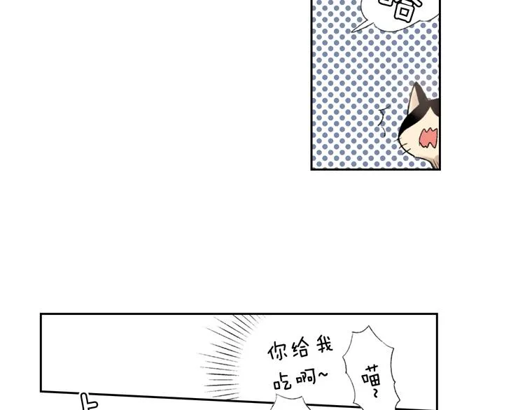 第3话 命运的邂逅？ 第40页