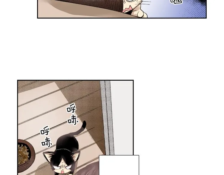 第3话 命运的邂逅？ 第43页