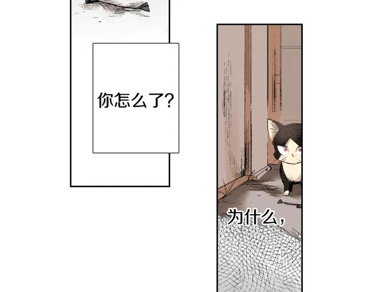 第3话 命运的邂逅？ 第50页