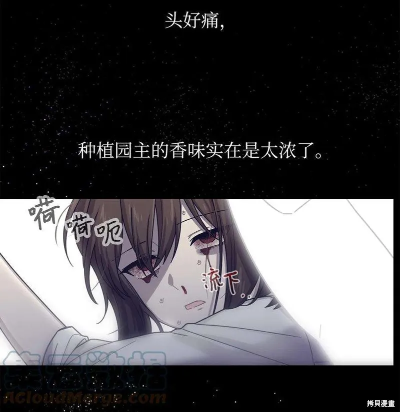 第53话 第19页