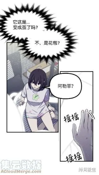 第40话 第19页