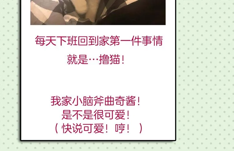 第53期 比格熊&Alan岚酱 第60页