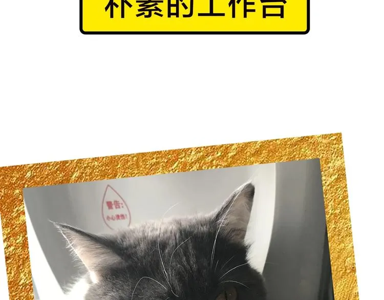 第49期 三福互娱&橡皮渣 第52页