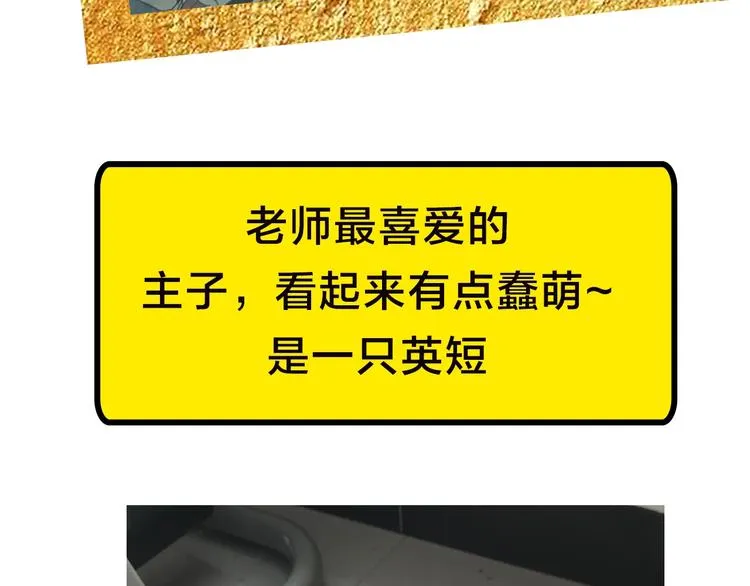 第49期 三福互娱&橡皮渣 第54页