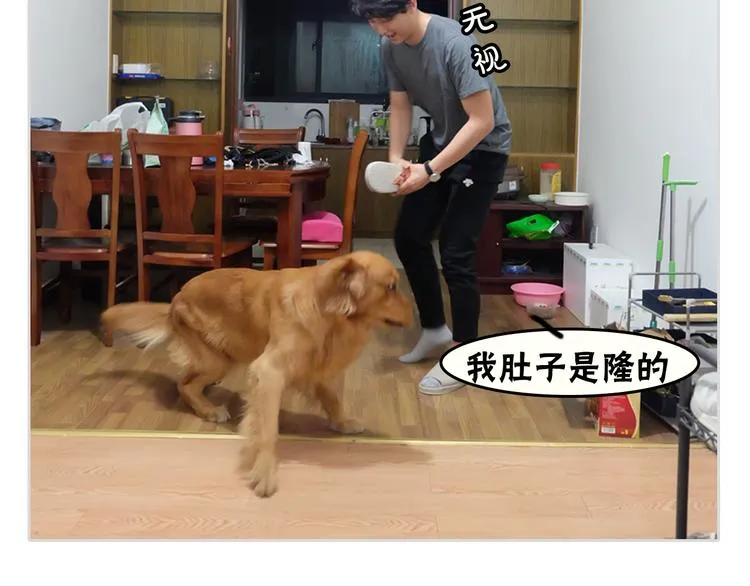 第1期 金丘 第50页