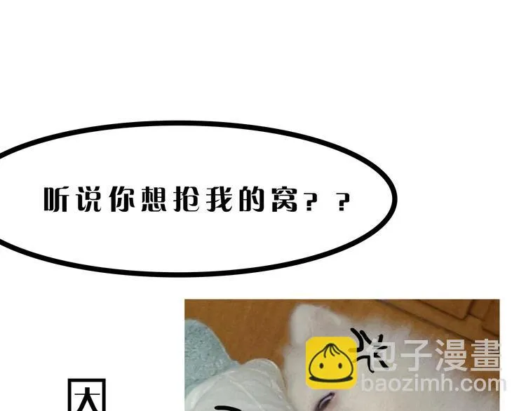 第9期 柯小 第41页