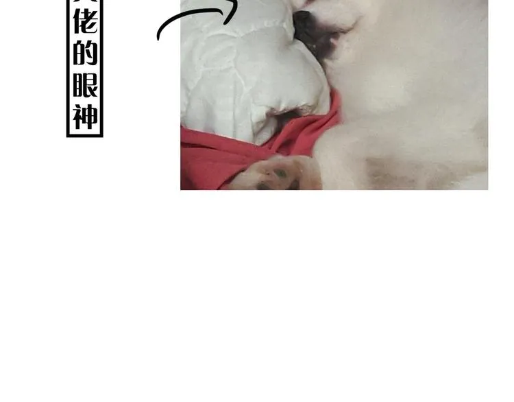 第9期 柯小 第42页