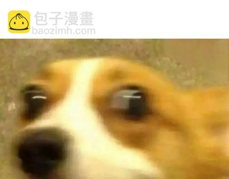 第11期 ※kid岁 第76页