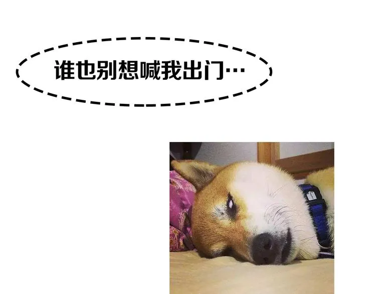 第11期 ※kid岁 第80页