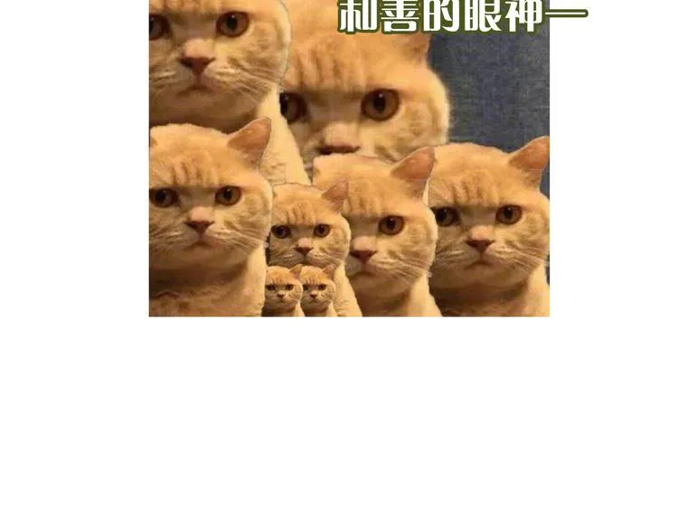 第12期 栗子liz 第69页