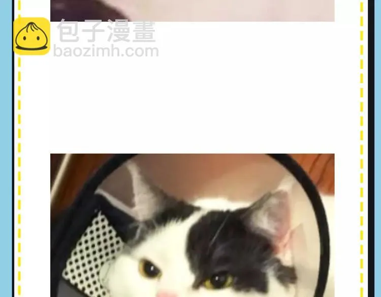 第16期 胡桃 第62页