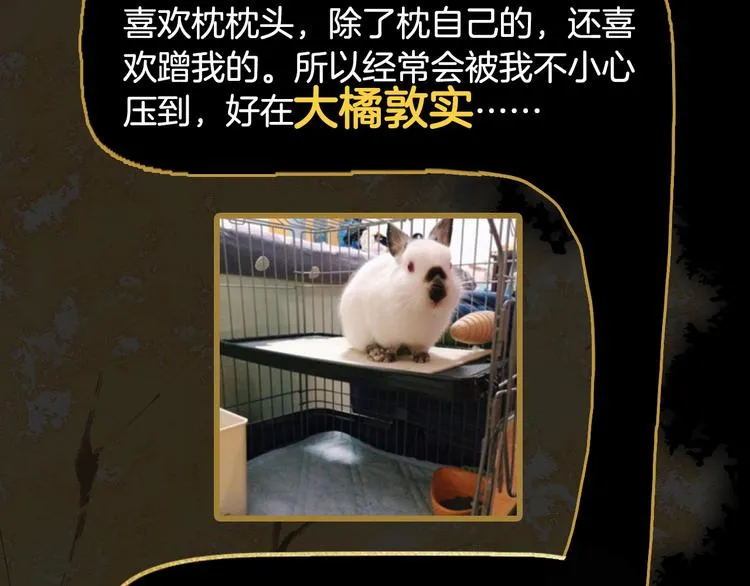 第26期 一罐子老丸 第65页