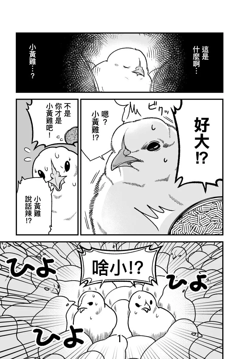 小黄鸡梦醒后 第1页