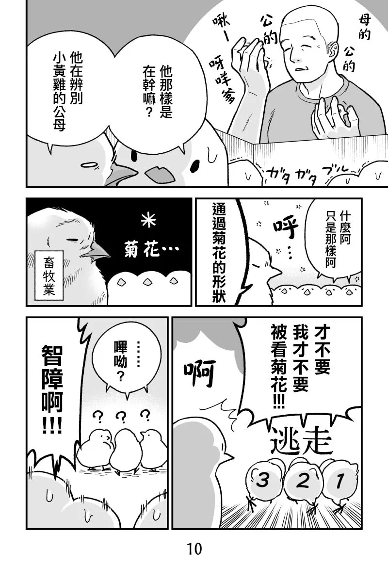 小黄鸡梦醒后 第9页