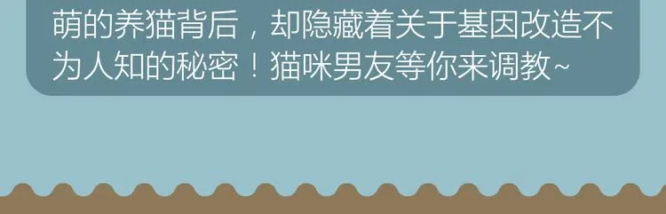 《哑舍》《绯闻都市》等8部重磅作品强势登陆！ 第16页