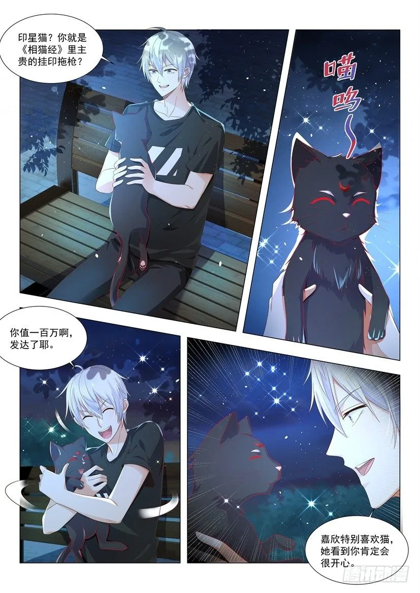 第4话 印星猫 第8页
