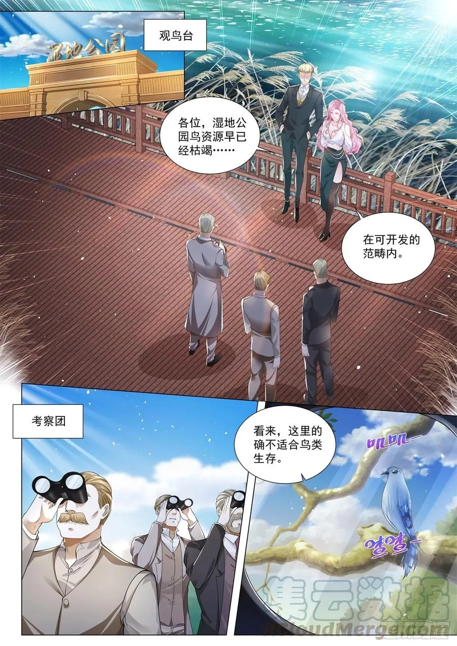 第293话 百鸟朝凤 第2页