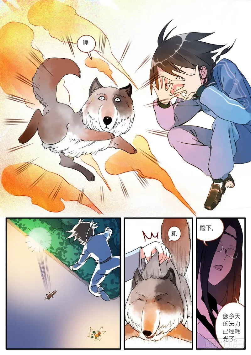 003 第9页