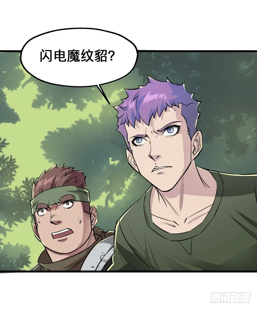 007闪电魔纹貂 第41页