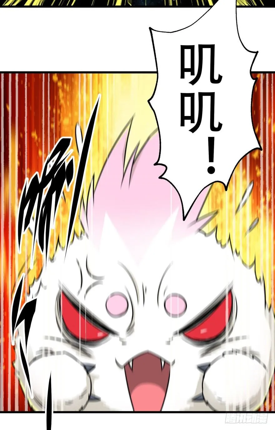 009小雪球VS闪电魔纹貂 第20页