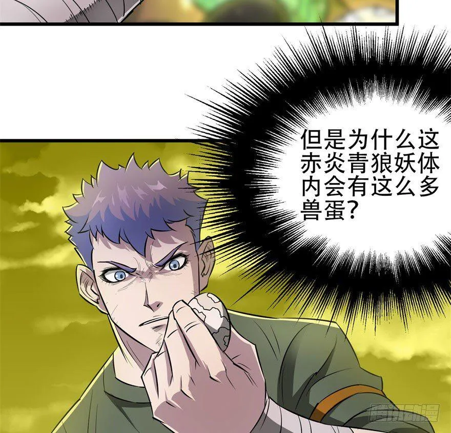 016兽蛋 第6页