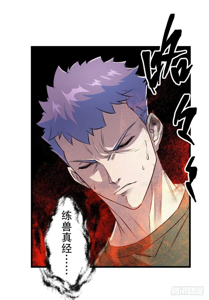 017炼化兽元 第9页