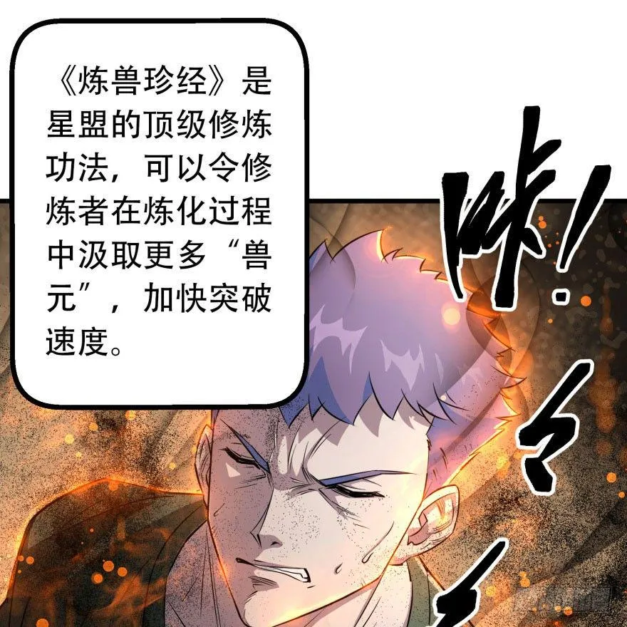 017炼化兽元 第11页