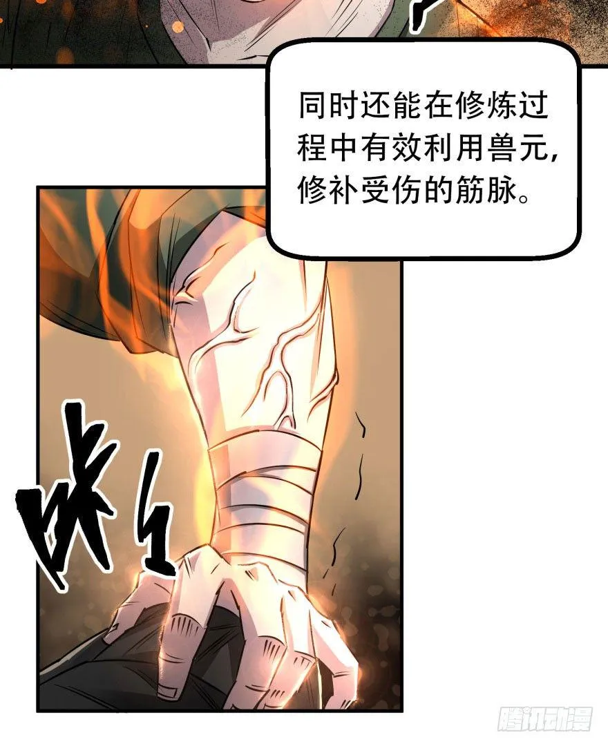 017炼化兽元 第12页