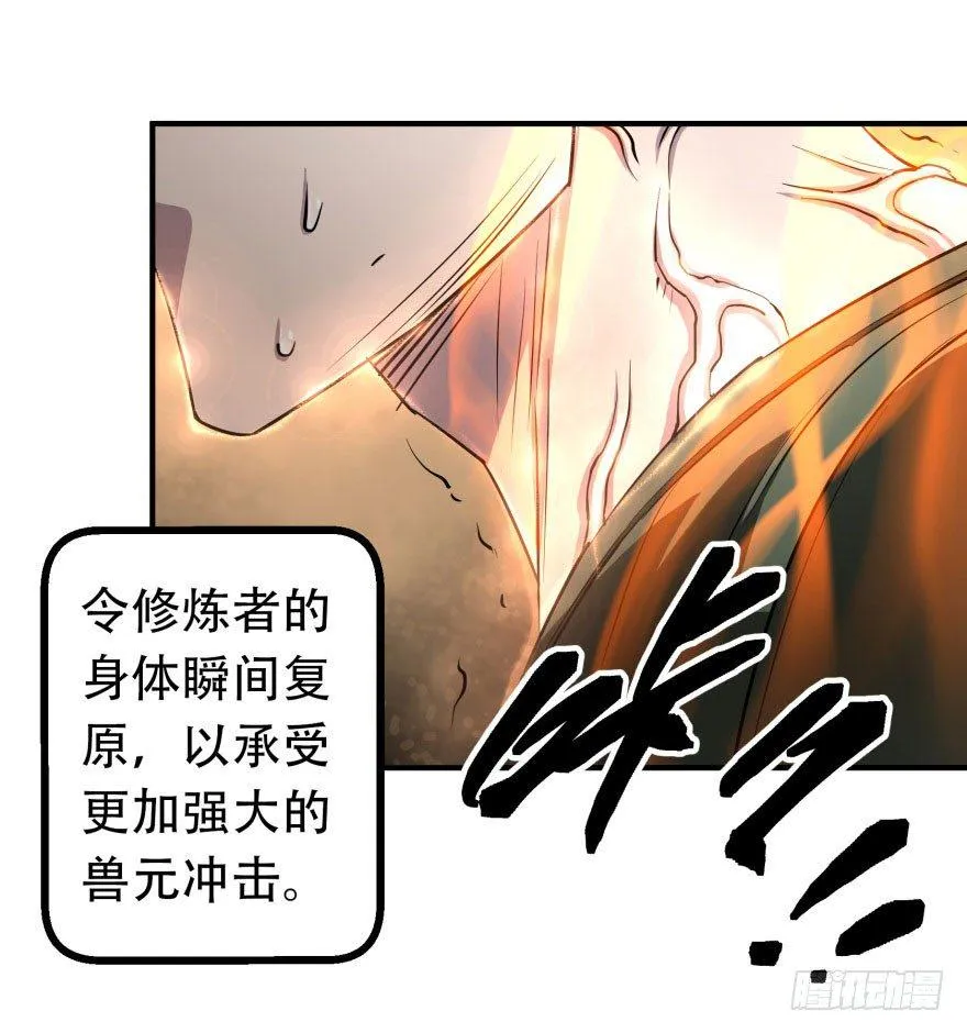 017炼化兽元 第13页