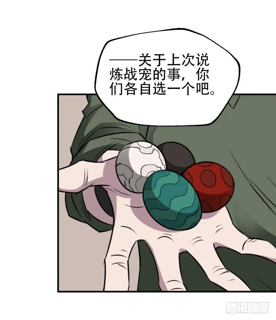 022炼化兽蛋 第28页