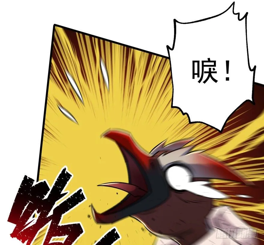 033强抢 第67页
