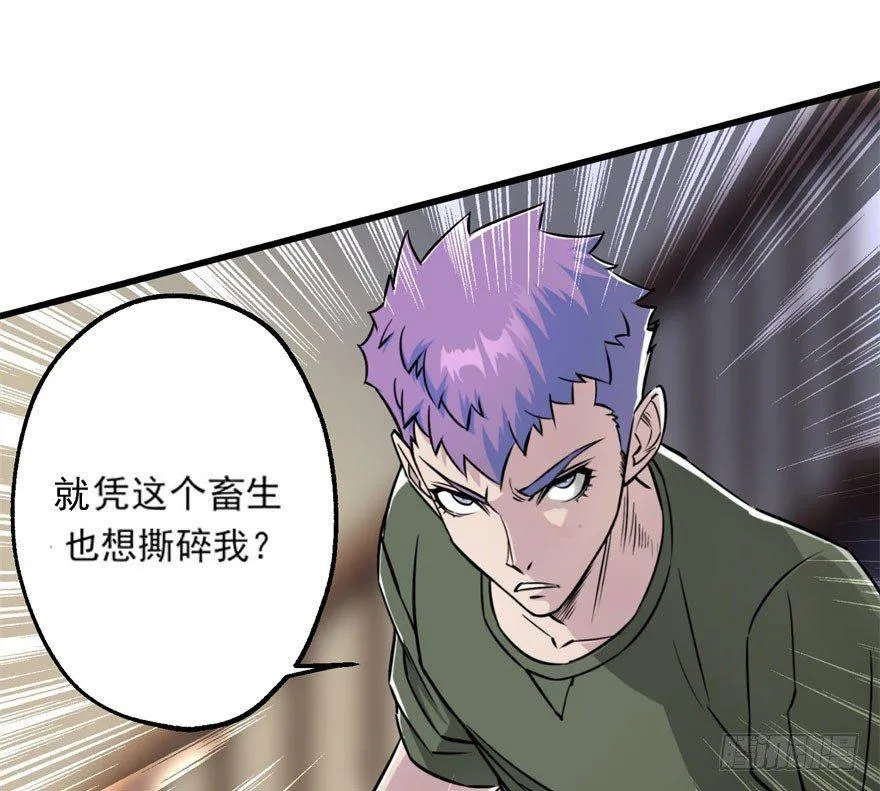 035玄阴狮虎兽 第27页